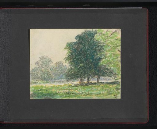 Park with trees