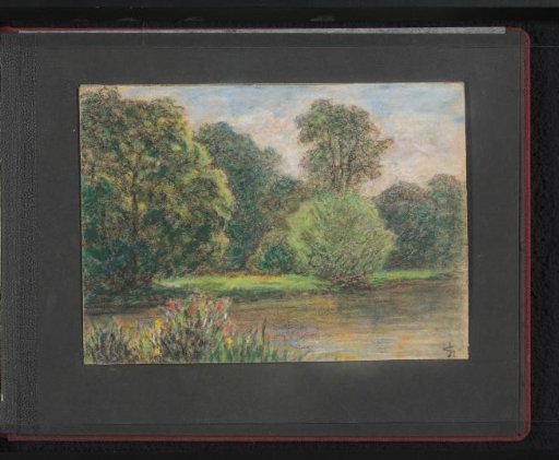 Trees and flowers around a pond