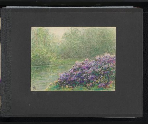Waterfront with flowers