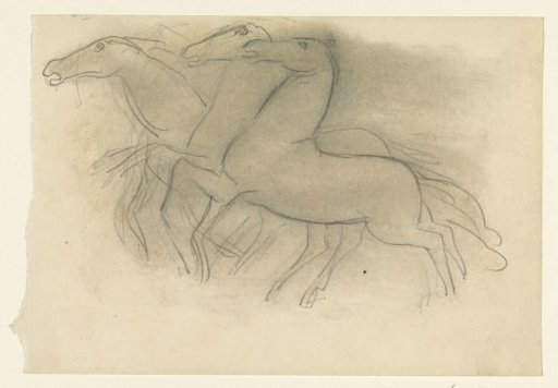 Running horses