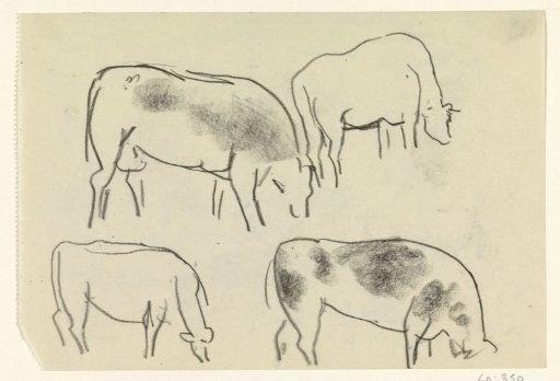 Four Grazing Cows