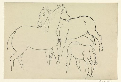 Two Horses and a Foal