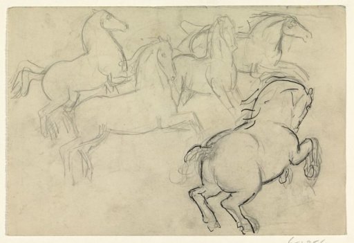 Galloping Horses