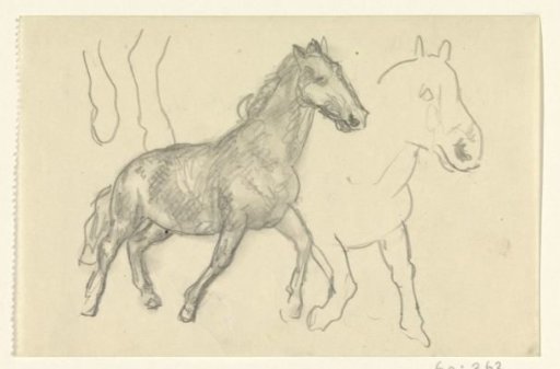 Two Walking Horses