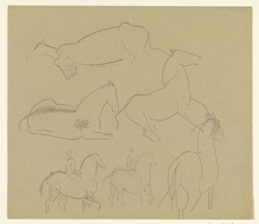 Horses
