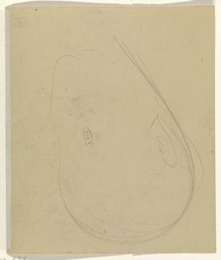 Contours of a Head