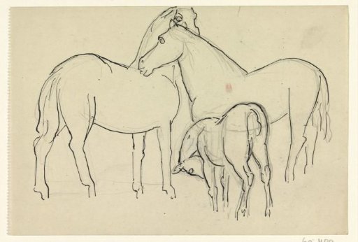 Two horses and a foal