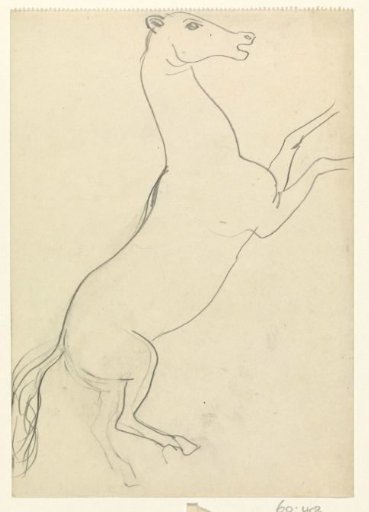 Rearing horse without rider