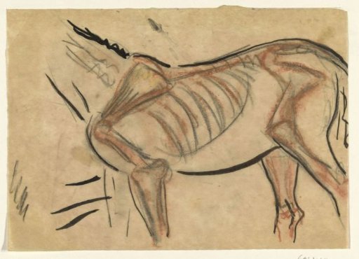 Skeleton of a Horse