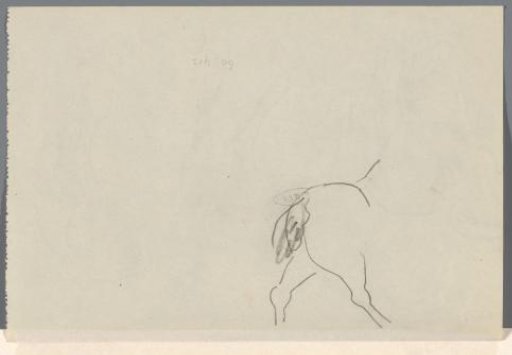 Rear View of a Walking Horse