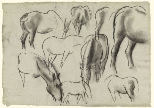 Horses from Various Angles