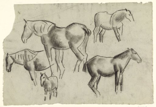 Horses from Various Angles