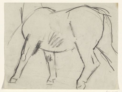 Body of a horse