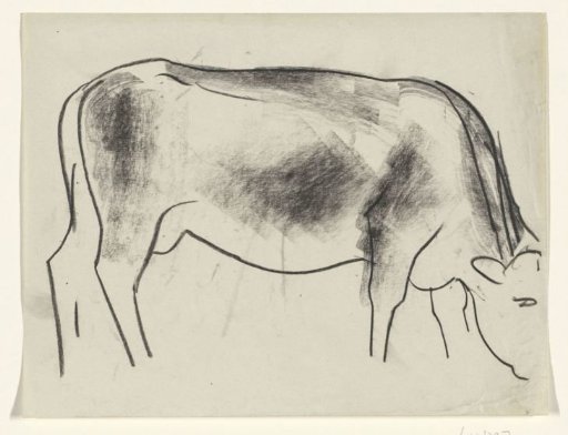 Grazing cow