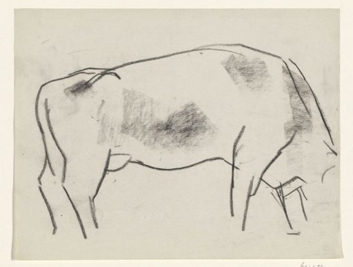 Body of a grazing cow