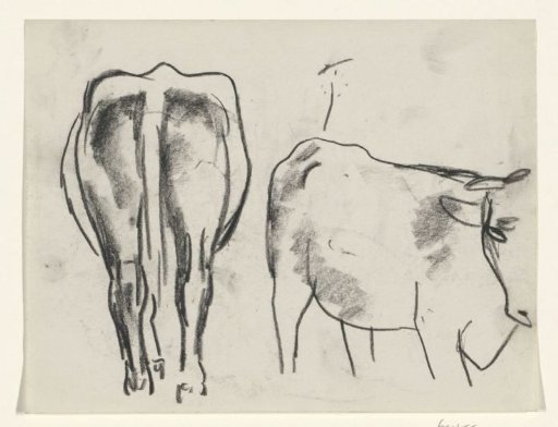 Rear and body of a cow