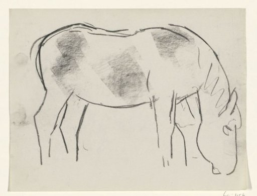 Spotted horse