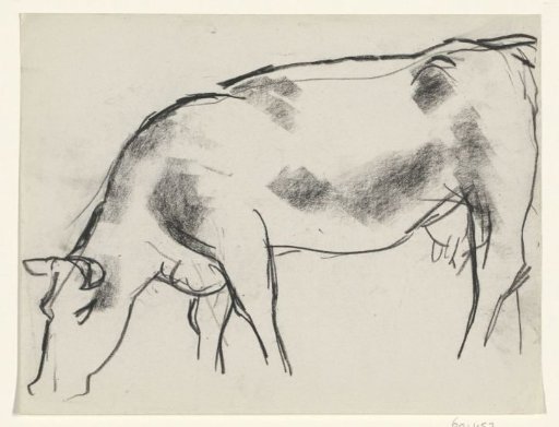 Grazing cow