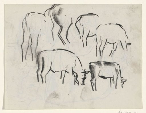 Cows