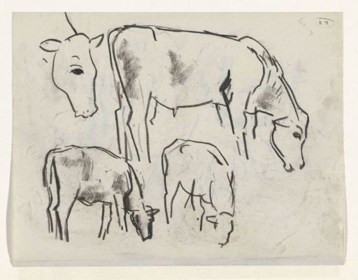 Three cows and a cow's head