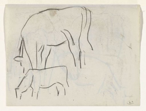 Two cows
