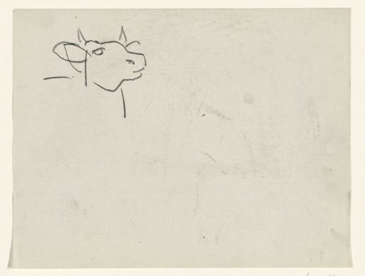 Cow's head