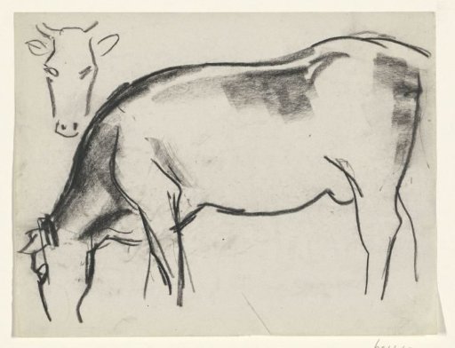Grazing cow and cow's head