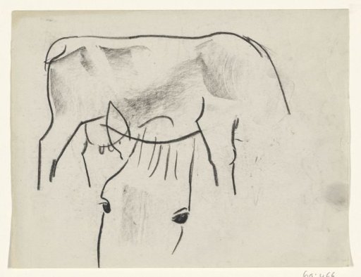 Body of a cow and head of a horse