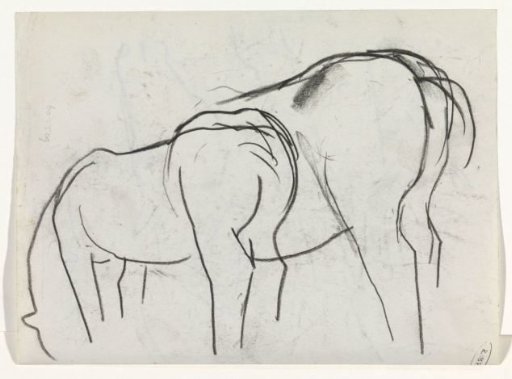 Two horses