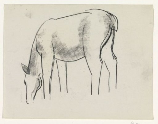 Grazing horse
