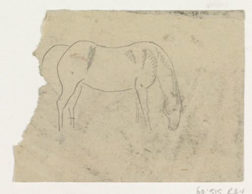 Grazing horse
