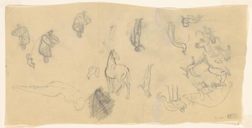 Study sheet with animals