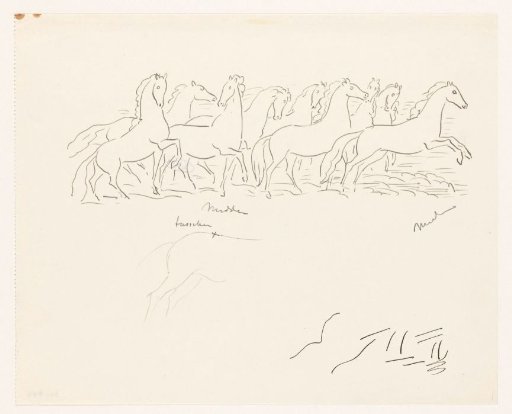 Study Sheet with a Herd of Horses