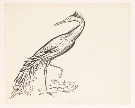 Heron at the water with two fish at its feet