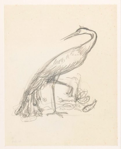 Heron at the water with two fish at its feet