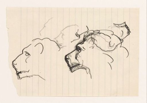 Study sheet with lion heads