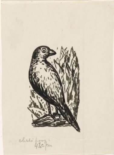 Bird
