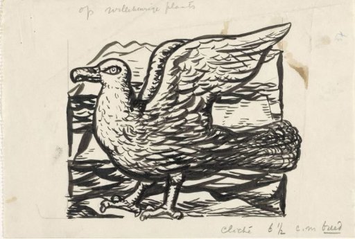 Seagull