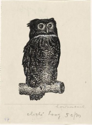 Eagle Owl