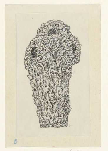 Flowering shrub
