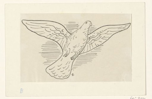 Flying Dove