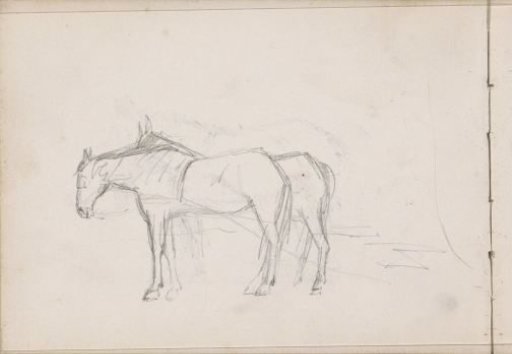 Two horses
