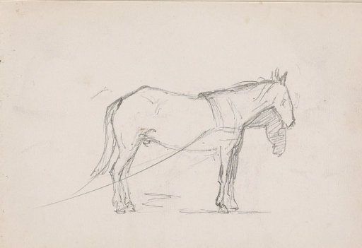 Horse with harness