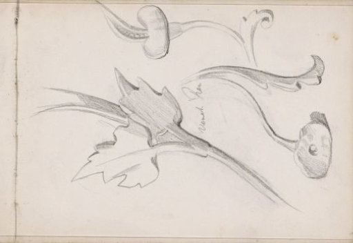 Venetian floral and leaf ornaments