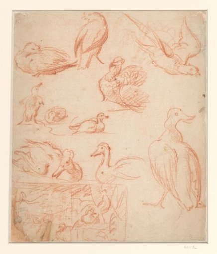 Sketches of a Composition and Various Birds