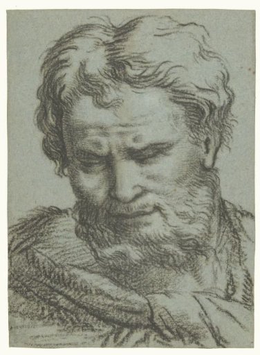 Head of a Man Looking Down with Beard
