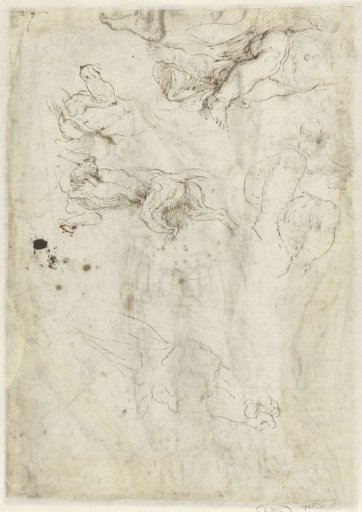 Studies of a Dog, a Sitting Child and a Donkey's Head