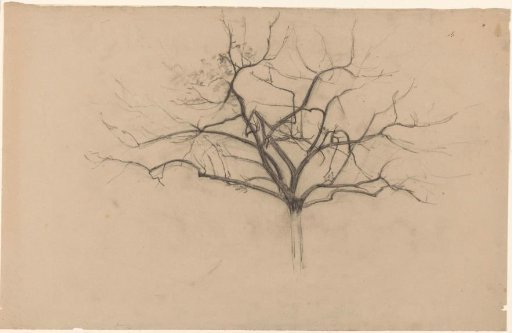 Tree study