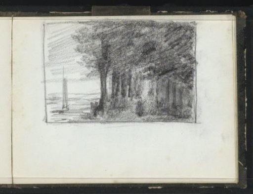 Trees at a waterfront
