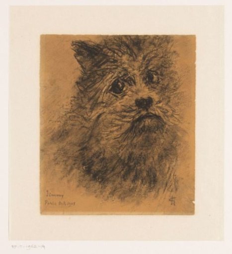 Portrait study of the dog Jimmy
